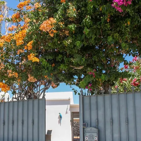 Villa Oliveira By Buenavilla Puerto del Carmen  Buitenkant foto